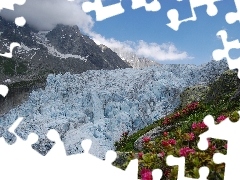 Flowers, Mountains, rocks