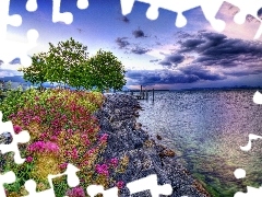 sea, coast, Flowers, stone