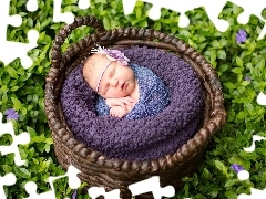 the sleeping, basket, Flowers, girl