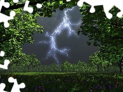 Storm, viewes, Flowers, trees