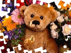 Flowers, Plush, teddybear