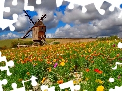 Flowers, Meadow, Windmill