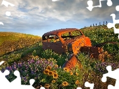 wreck, Meadow, Flowers, Automobile