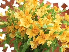 flowers, bouquet, yellow