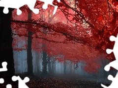 autumn, viewes, Fog, trees