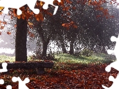 viewes, Park, Fog, autumn, Way, trees