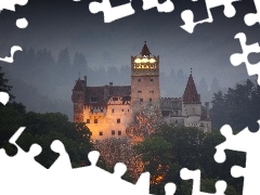 Fog, Castle, forest