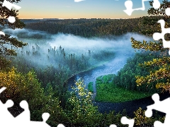 Fog, trees, Finland, viewes, Kuusamo Municipality, Kitkajoki River, forest, pine