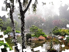 japanese, morning, Fog, Garden