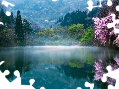 morning, Spring, trees, lake, South Korea, Fog, viewes