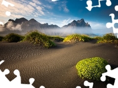 Fog, Desert, Mountains