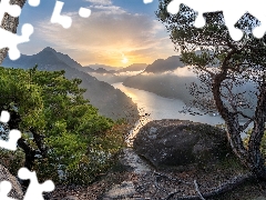 rocks, Sunrise, pine, Fog, River, Mountains