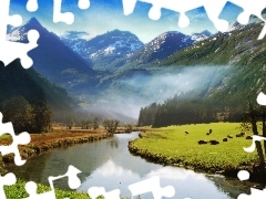 Mountains, woods, Fog, River