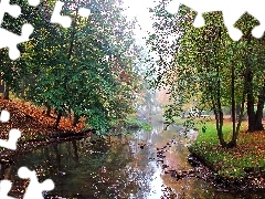 Fog, stream, Park