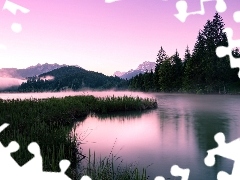 River, woods, Fog, Mountains