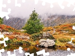 Fog, water, trees, viewes, Mountains