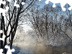 Fog, winter, viewes, River, trees