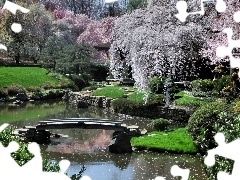 footbridge, Garden, brook