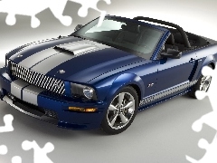 Ford Mustang Shelby GT Cabrio