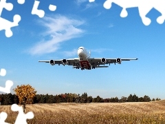 plane, Meadow, forest, Airbus A380