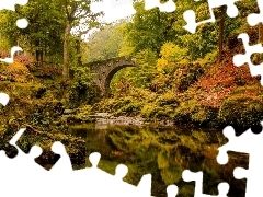forest, River, bridge
