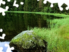 lake, grass, forest, Stone