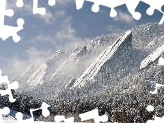 Sky, winter, forest, Mountains