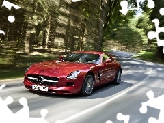 Mercedes SLS, Way, forest