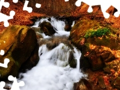 forest, Stones, stream