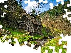 forest, Windmill, stream