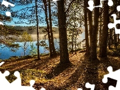 River, Scotland, trees, England, Kinrara, forest, viewes