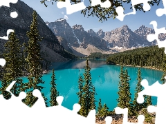 Banff National Park, Lake Moraine, Mountains, forest, viewes, Alberta, Canada, trees