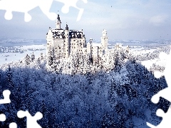 forest, Castle, winter