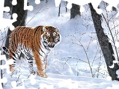 forest, tiger, winter