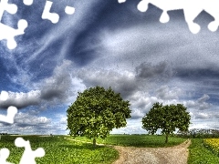 fork, roads, trees, viewes, clouds