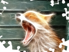 yawning, Fox