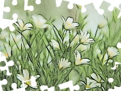 Cerastium, Fractalius