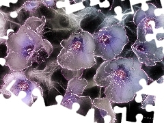 Flowers, Fractalius