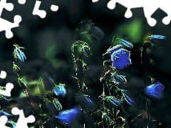 Fractalius, Blue, Flowers