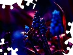 Fractalius, Muscari, Flowers