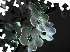 Fractalius, Spring, Flowers