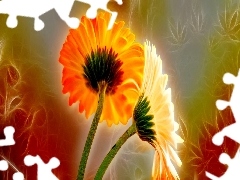 Fractalius, gerberas, graphics