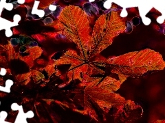Fractalius, Red, Leaf