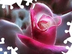 rose, Fractalius