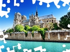 chair, Paris, France, Notre Dame