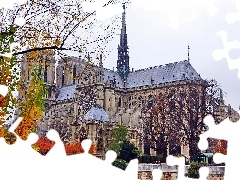 chair, Paris, France, Notre Dame