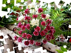 bouquet, Dianthus barbatus, Freesias, flowers