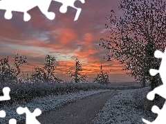 viewes, Way, White frost, Great Sunsets, Bush, trees