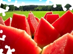 watermelon, fruit