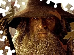 Leaf, Ian McKellen, Gandalf